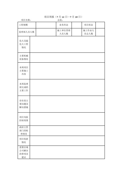 周汇报表格