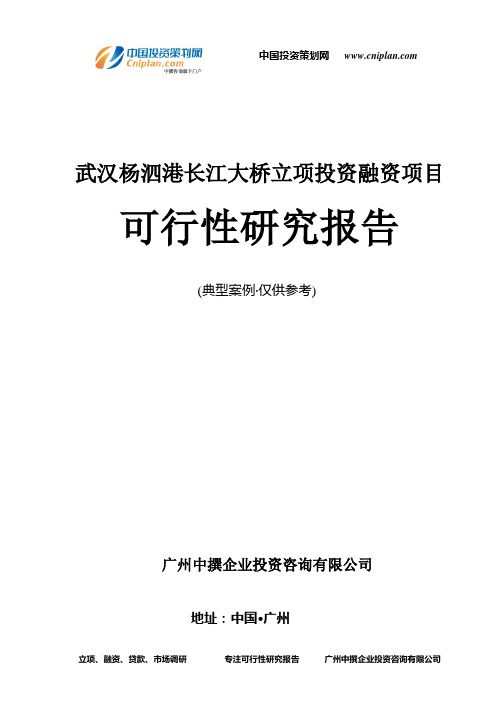 武汉杨泗港长江大桥融资投资立项项目可行性研究报告(非常详细)