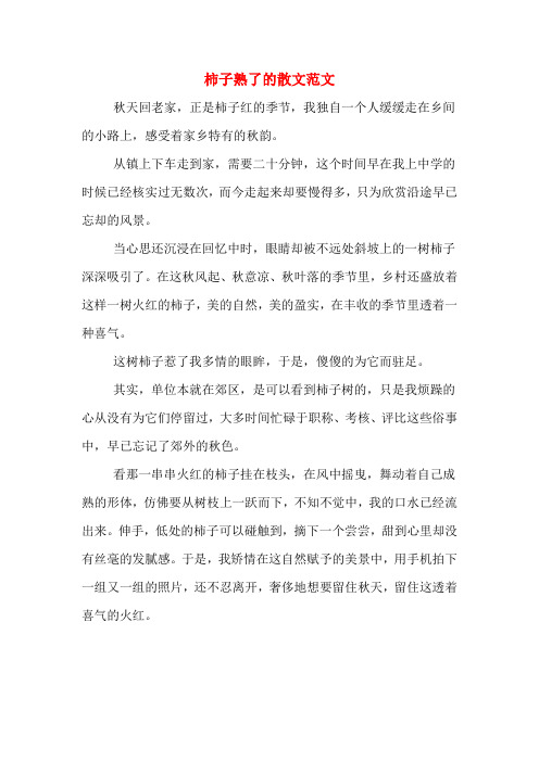 柿子熟了的散文范文