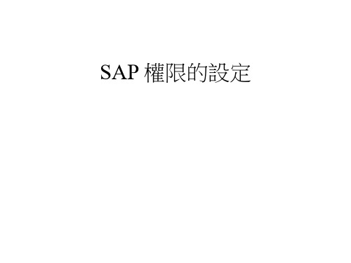 SAP专业培训教材SAP 权限的设定