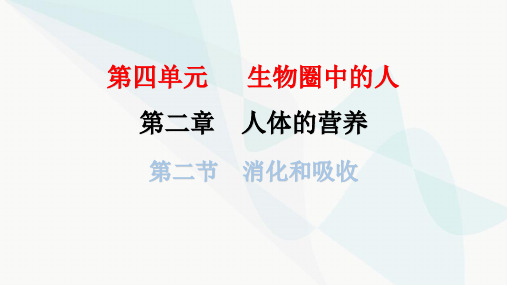 人教版七年级生物下册第二章第二节消化和吸收课件