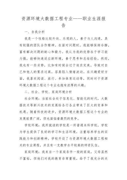 资源环境大数据工程专业——职业生涯报告