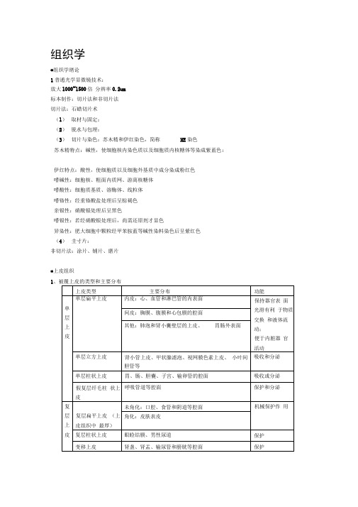 组织学与胚胎学重点归纳1