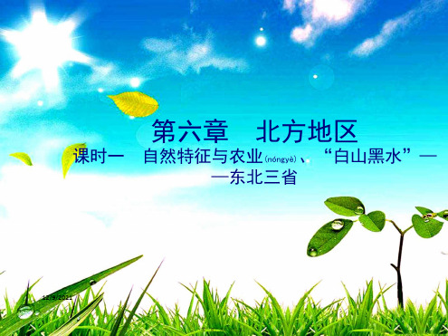 中考地理总复习 第一部分 教材知识冲关 八下 第六章 北方地区(课时一)地理课件