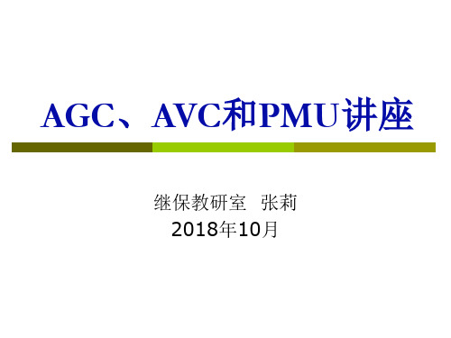 AGC、AVC、PMU课件