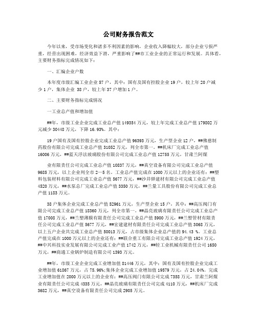 公司财务报告范文