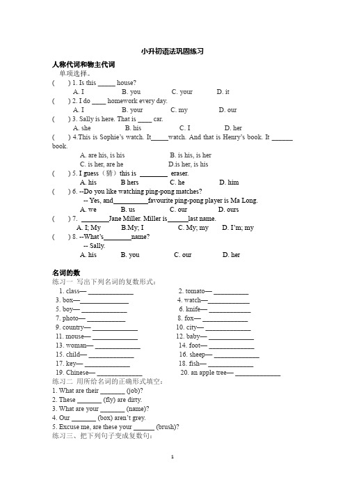 六年级下册英语试题-小升初语法巩固练习(含答案)人教PEP版