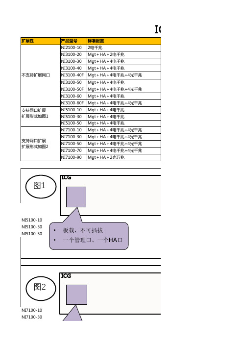 网康ICG产品性能参数表