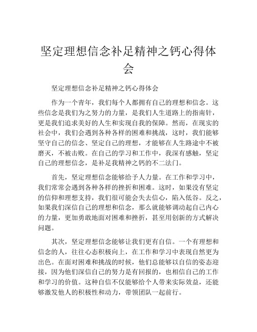 坚定理想信念补足精神之钙心得体会