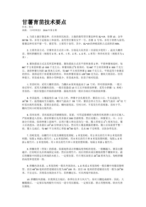 甘薯育苗技术要点