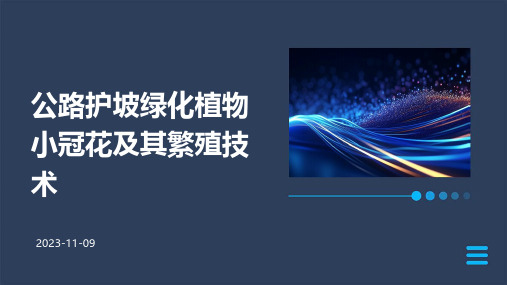 公路护坡绿化植物小冠花及其繁殖技术