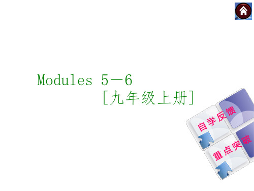 外研版 九年级上5~6 模复习课件解读