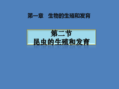 7.1.2 昆虫的生殖和发育-人教版八年级下册生物课件(共11张PPT)