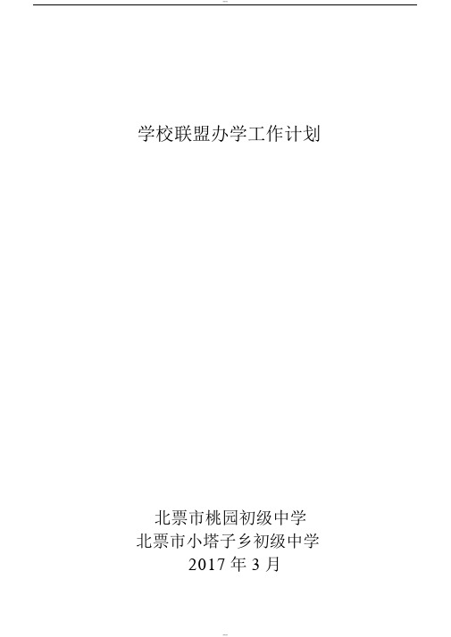 学校联盟2017年工作计划-(4552)