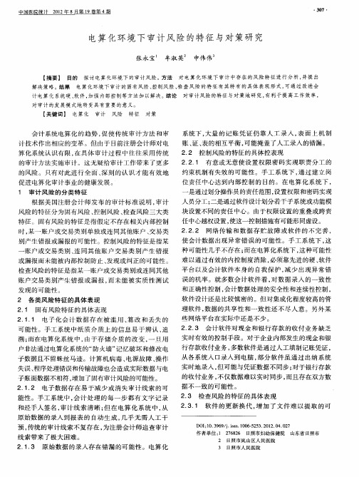 电算化环境下审计风险的特征与对策研究