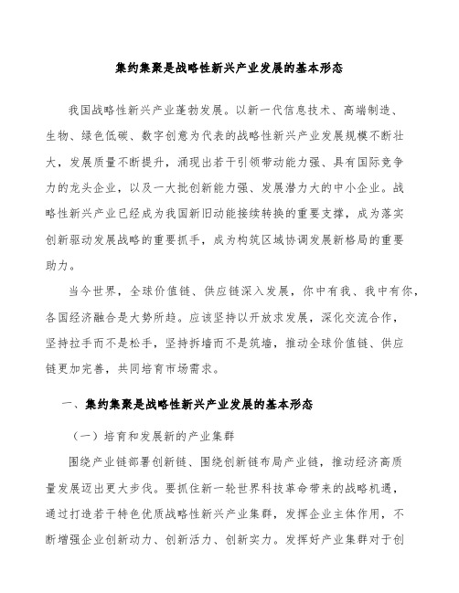 集约集聚是战略性新兴产业发展的基本形态