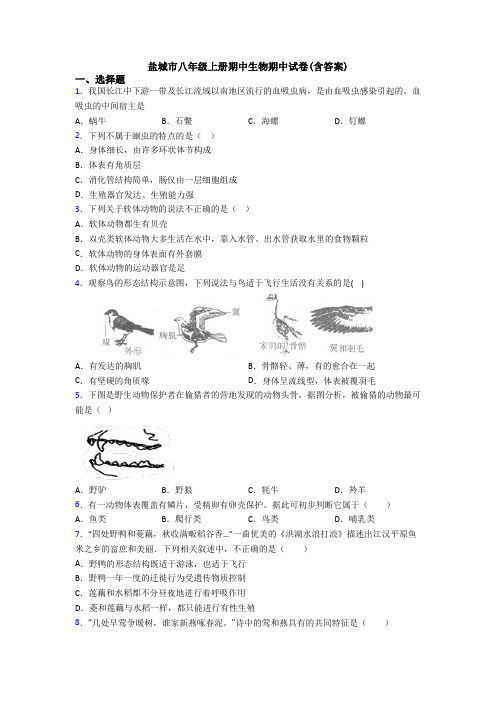 盐城市八年级上册期中生物期中试卷(含答案)