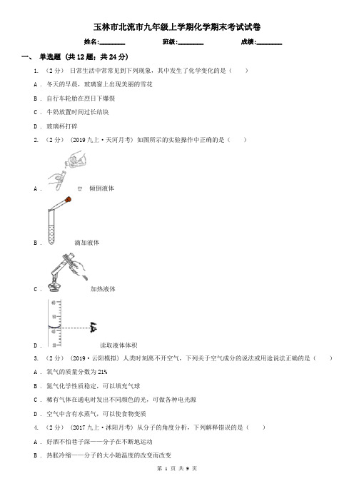 玉林市北流市九年级上学期化学期末考试试卷