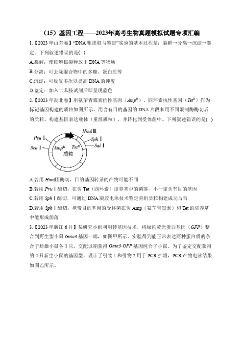 2023年高考生物真题模拟试题专项汇编：(15)基因工程(含答案) 