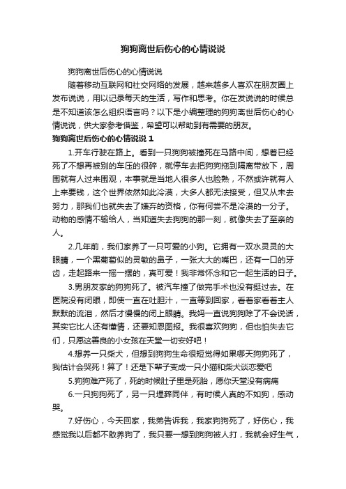 狗狗离世后伤心的心情说说