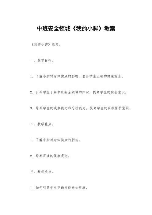 中班安全领域《我的小脚》教案