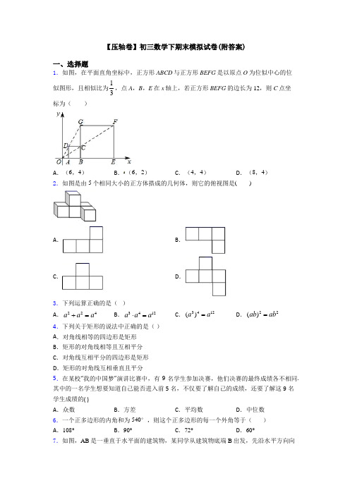 【压轴卷】初三数学下期末模拟试卷(附答案)