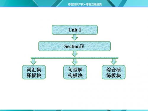 Unit 1  Section Ⅳ  Learning about Language & Using Language