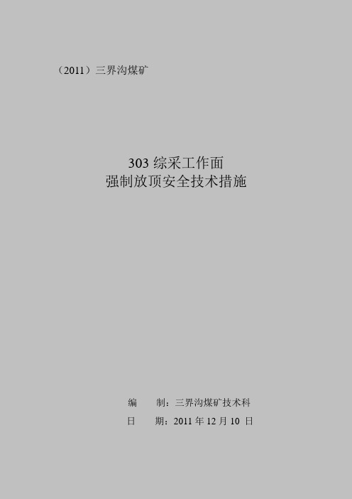 303 强制放顶安全技术措施