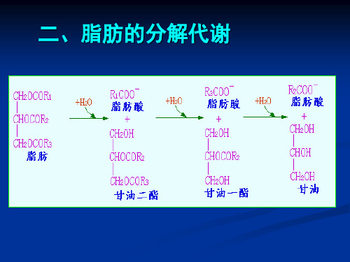 第十章脂类代谢