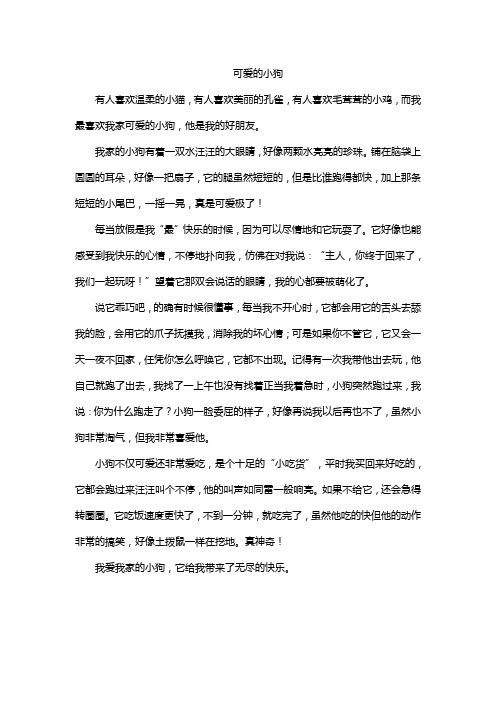 可爱的小狗