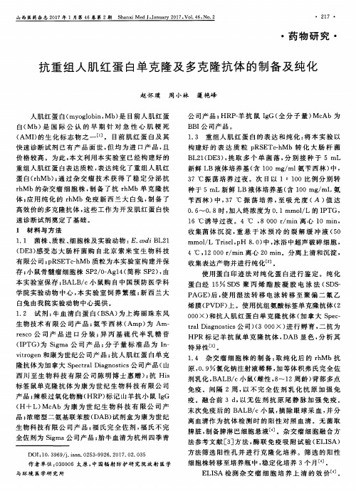 抗重组人肌红蛋白单克隆及多克隆抗体的制备及纯化