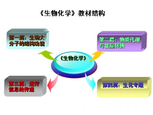 蛋白质的基本组成单位氨基酸及其连接方式