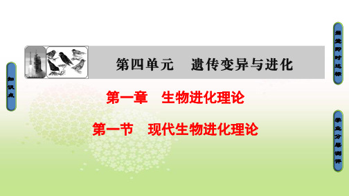 2018-2019学年(中图版)高中生物必修二课件：第4单元 第1章 第1节 现代生物进化理论