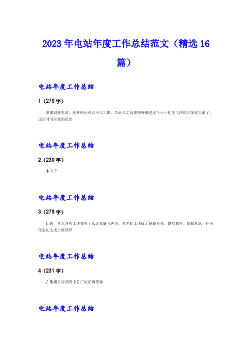 2023年电站年度工作总结范文(精选16篇)