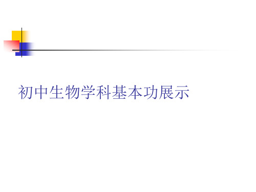 七年级生物下册第二节 消化和吸收 说课流程课件 人教版