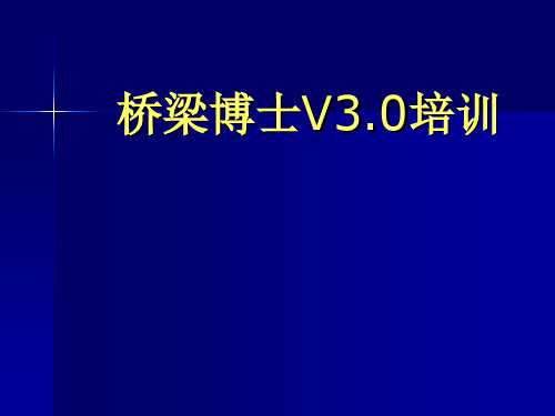 桥梁博士V3.0培训(演示文稿) 