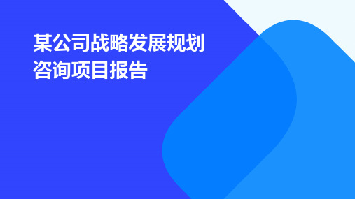 某公司战略发展规划咨询项目报告