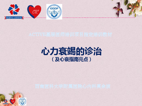 基层医师培训项目指定培训教材(PPT 45页)