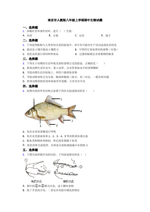 南京市人教版八年级上学期期中生物试题