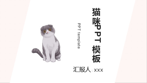 可爱猫咪PPT模板