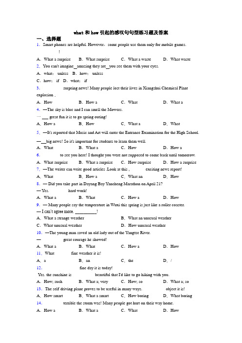 what和how引起的感叹句句型练习题及答案