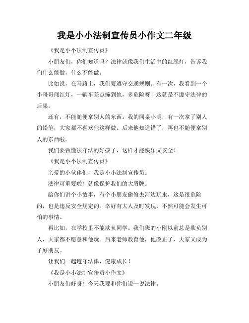 我是小小法制宣传员小作文二年级