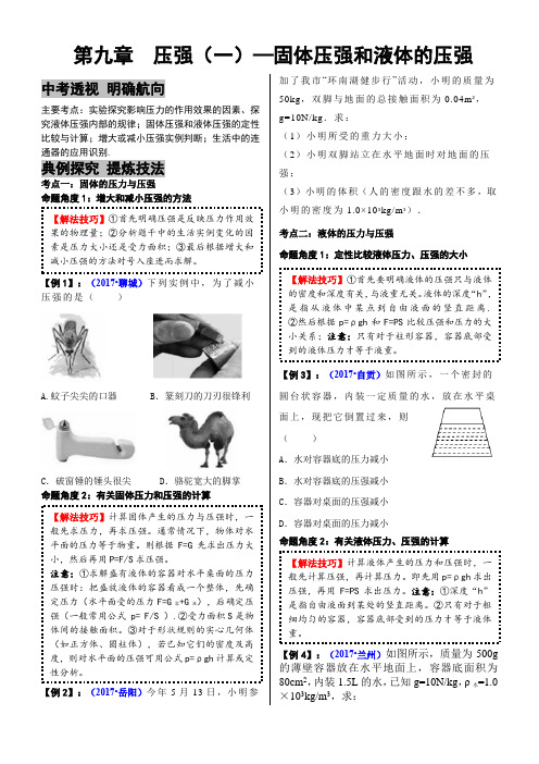 9.1中考物理命题热点突破方法专题九 压强(一)—固体和液体的压强