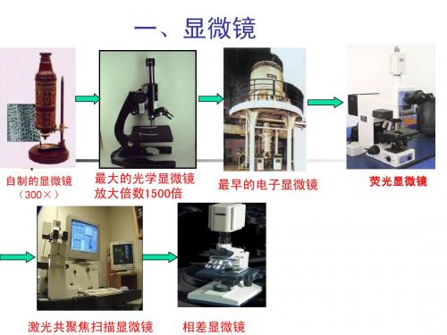 第一节 练习使用显微镜