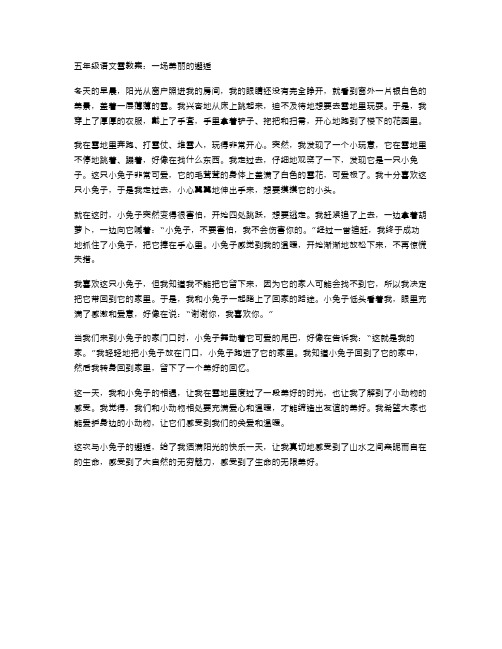 五年级语文雪教案：一场美丽的邂逅