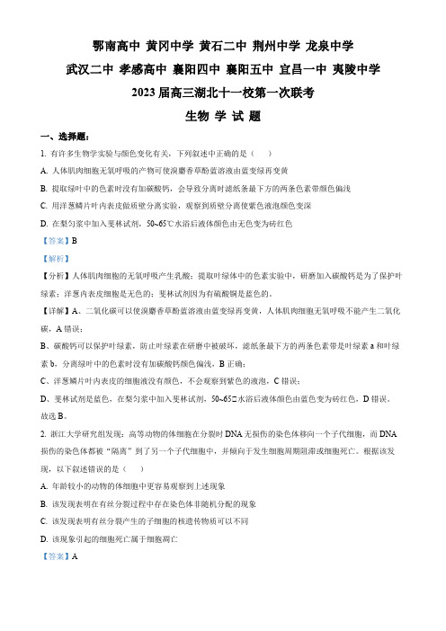 湖北省十一校2022-2023学年高三上学期第一次联考生物试题(解析版)