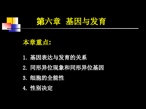 遗传学第六章 基因与发育