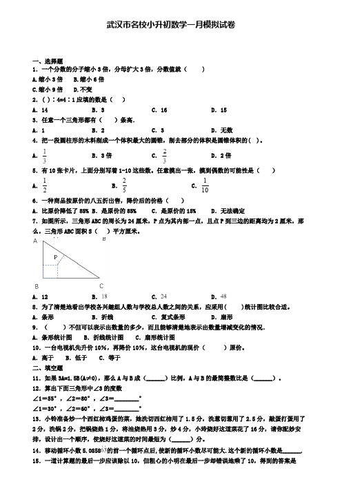 武汉市名校小升初数学一月模拟试卷