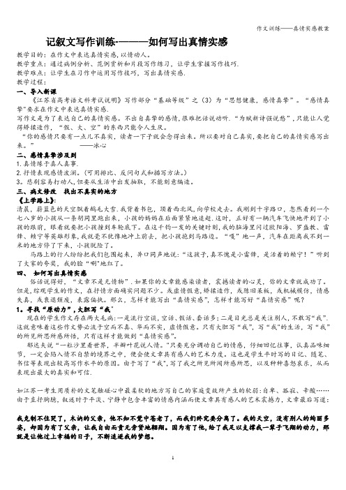 作文训练——真情实感教案