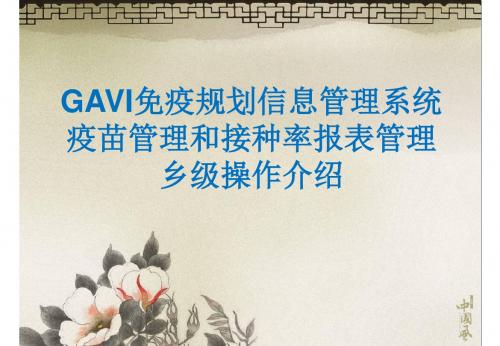 GAVI免疫规划信息管理系统ppt课件